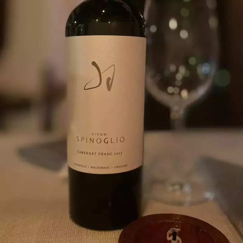 Diego Spinoglio Cabernet Franc 2023